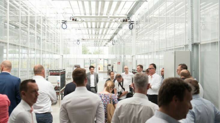 dummenorange 1|dummenorange 3|dummenorange 2